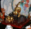 Golden Monkey (Side view)